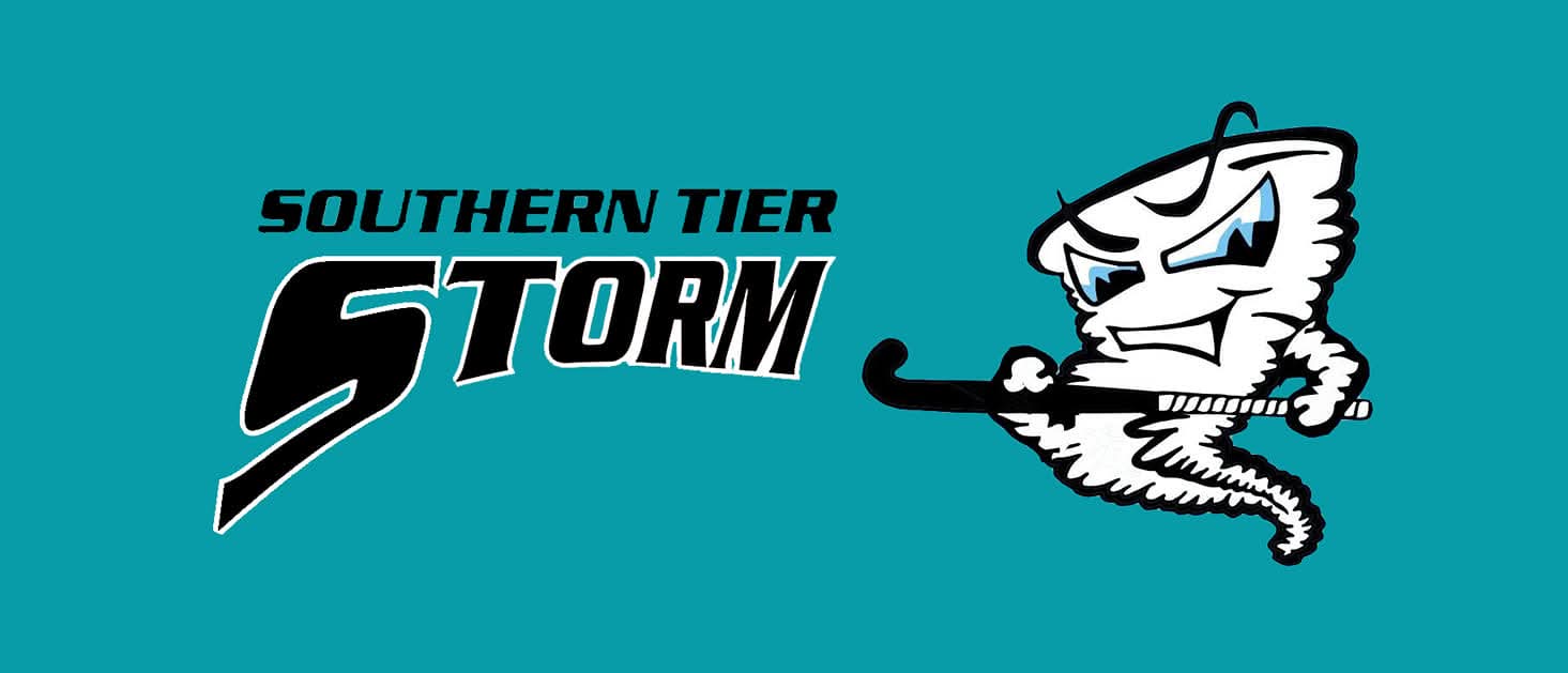 Southern Tier Storm
